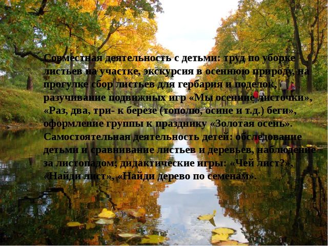 Исследовательский проект "Деревья осенью"