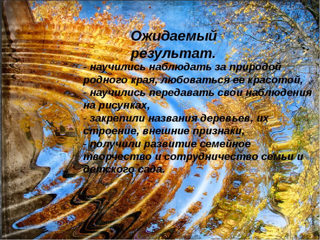 Исследовательский проект "Деревья осенью"