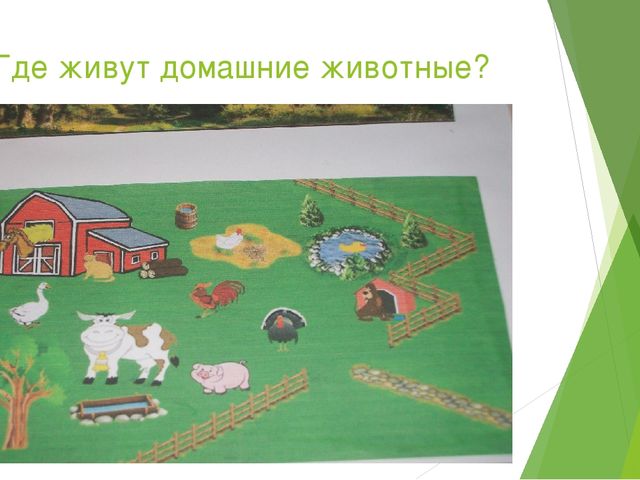 Презентация "ЛЭПБУК и его применение"