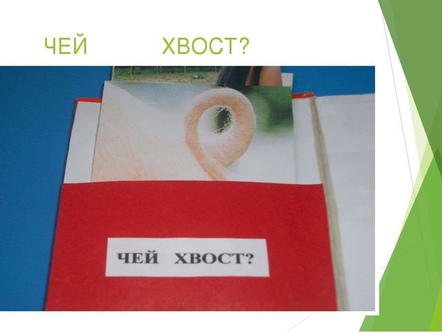 Презентация "ЛЭПБУК и его применение"