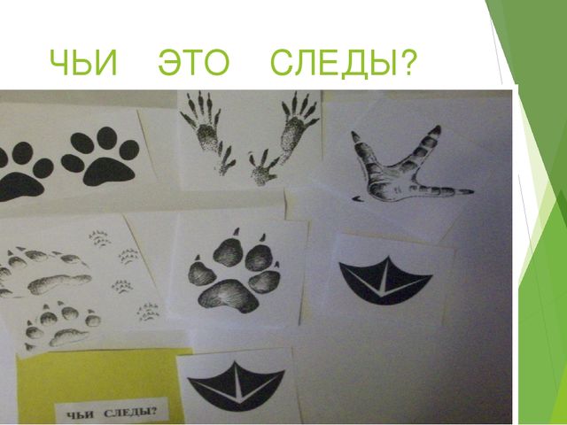 Презентация "ЛЭПБУК и его применение"
