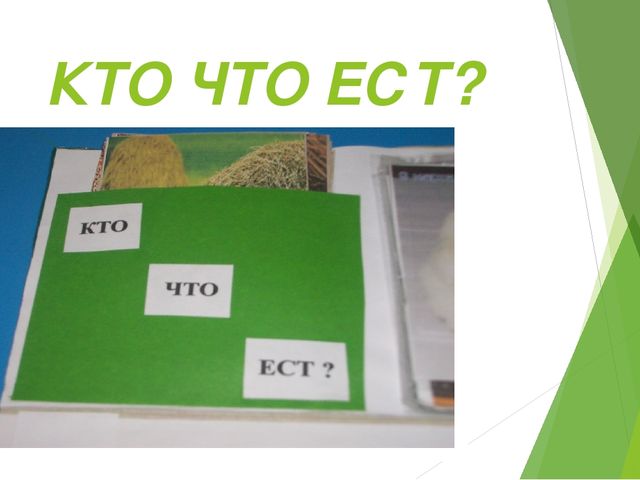 Презентация "ЛЭПБУК и его применение"