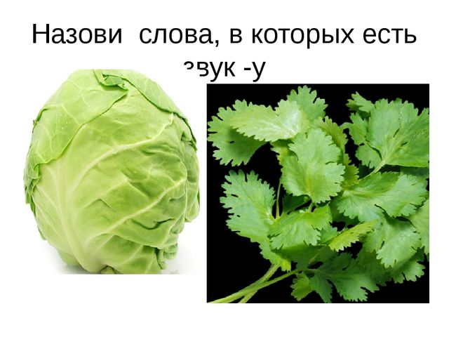 Презентация по грамоте предшкольная подготовка