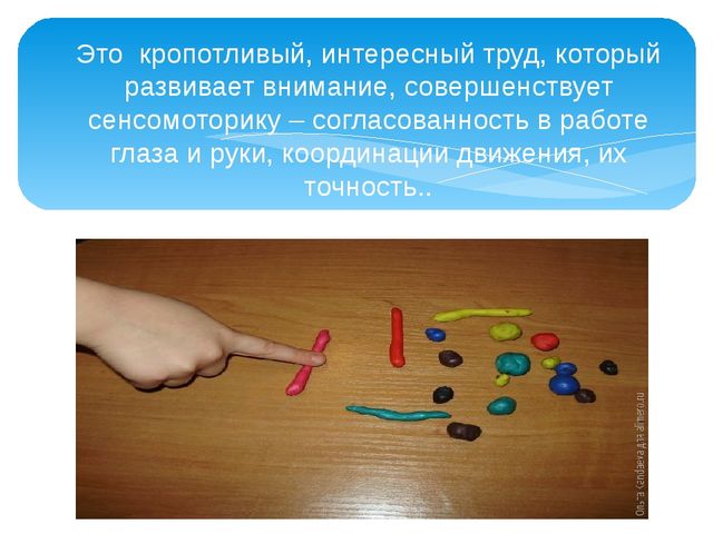 Презентация на тему "Влияние развития мелкой моторики рук на формирование правильного звукопроизношения детей дошкольного возраста"