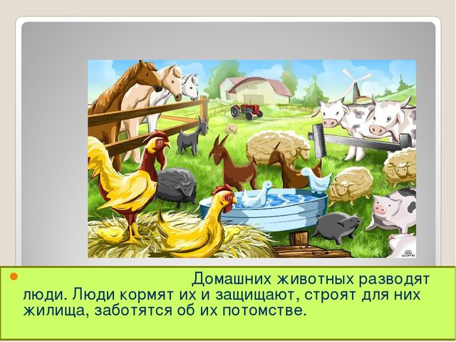 Презентация на тему "Дикие и домашние животные"