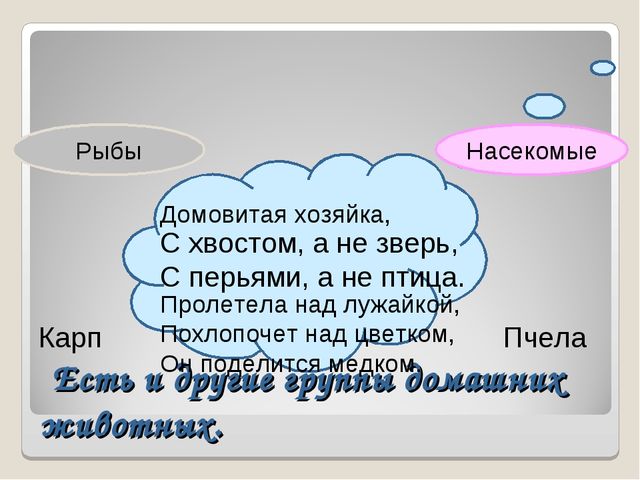 Презентация на тему "Дикие и домашние животные"