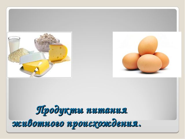 Презентация на тему "Дикие и домашние животные"