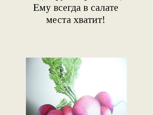 Презентация познавательного развлечения на тему "Загадки с грядки"