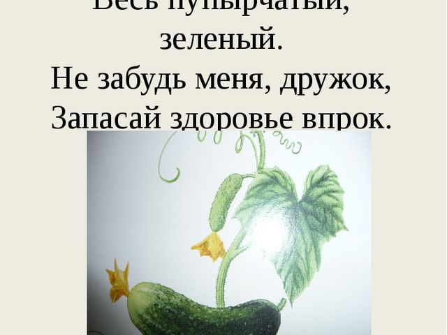 Презентация познавательного развлечения на тему "Загадки с грядки"