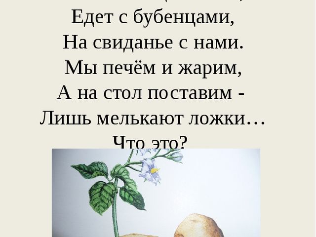 Презентация познавательного развлечения на тему "Загадки с грядки"