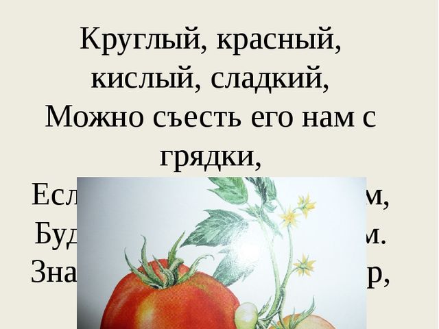 Презентация познавательного развлечения на тему "Загадки с грядки"