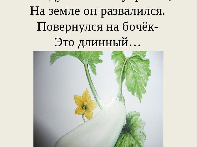 Презентация познавательного развлечения на тему "Загадки с грядки"
