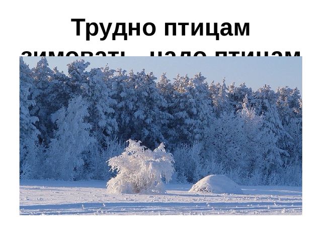 Презентация.Трудно птицам зимовать-надо птицам помогать.