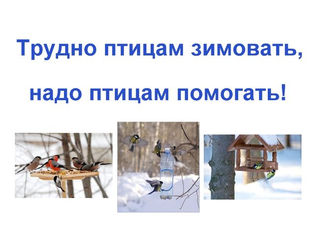 Презентация.Трудно птицам зимовать-надо птицам помогать.