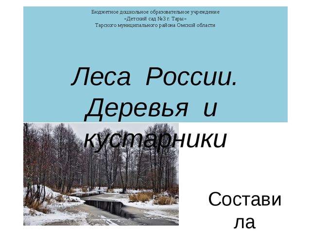 Презентация "Леса России. Деревья и кустарники лесов России."