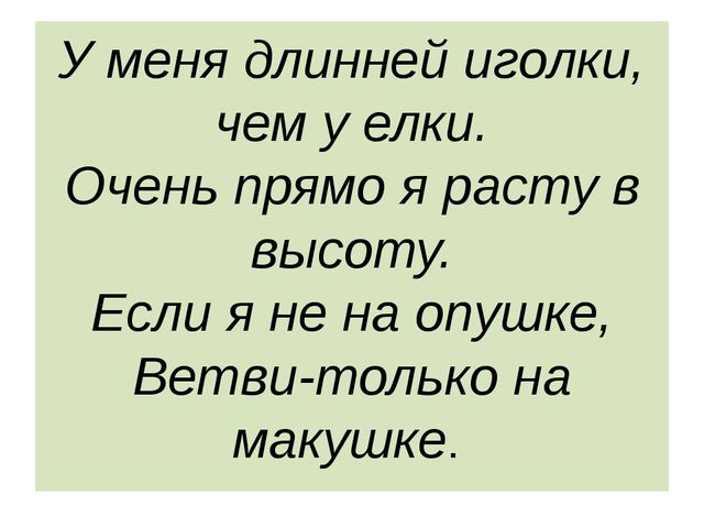 Презентация "Леса России. Деревья и кустарники лесов России."