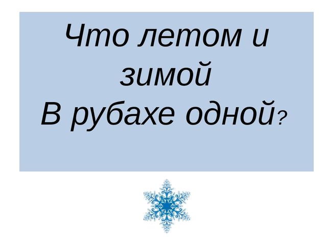 Презентация "Леса России. Деревья и кустарники лесов России."