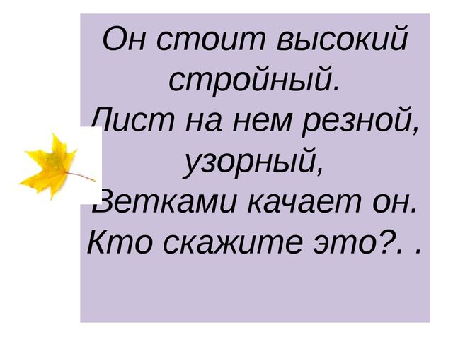 Презентация "Леса России. Деревья и кустарники лесов России."