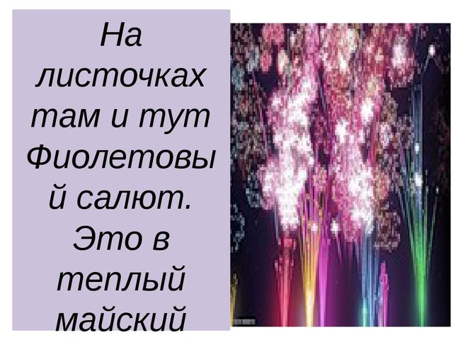 Презентация "Леса России. Деревья и кустарники лесов России."