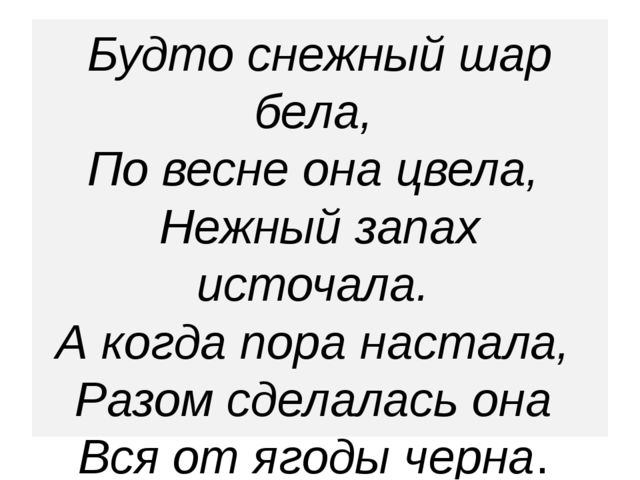 Презентация "Леса России. Деревья и кустарники лесов России."