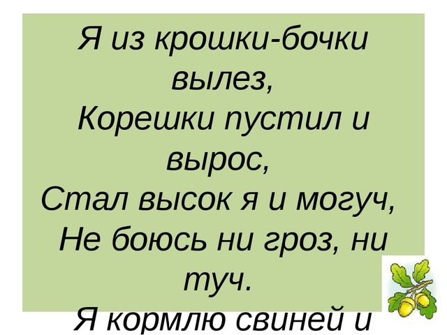 Презентация "Леса России. Деревья и кустарники лесов России."