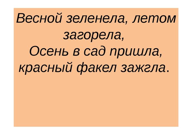 Презентация "Леса России. Деревья и кустарники лесов России."