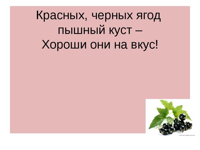 Презентация "Леса России. Деревья и кустарники лесов России."