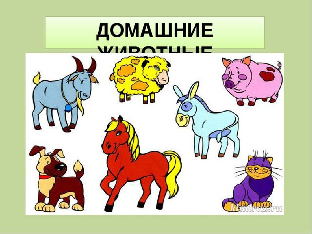 Презентация для занятия в "Школе дошкольника" на тему: "Назови группу предметов"