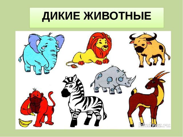 Презентация для занятия в "Школе дошкольника" на тему: "Назови группу предметов"