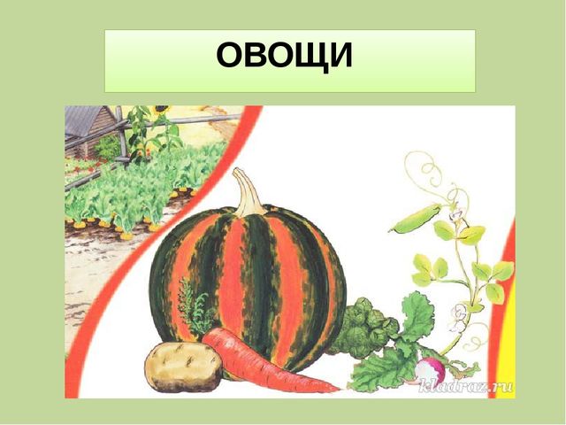 Презентация для занятия в "Школе дошкольника" на тему: "Назови группу предметов"