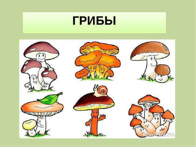 Презентация для занятия в "Школе дошкольника" на тему: "Назови группу предметов"