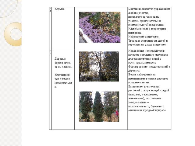 Опыт работы по созданию предметно – пространственной развивающей среды в соответствии с ФГОС