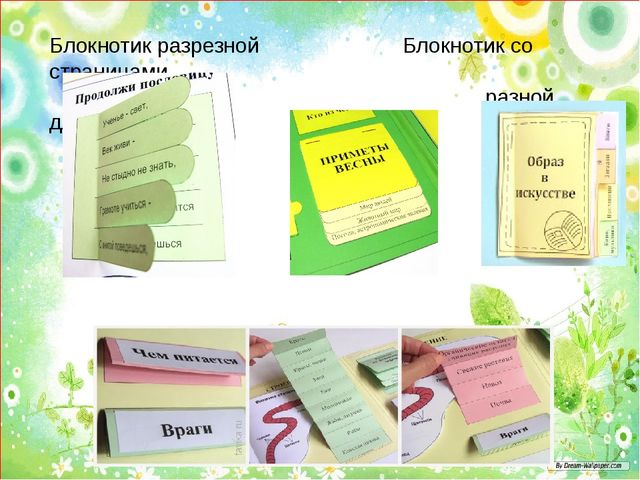 Лепбук презентация для воспитателей