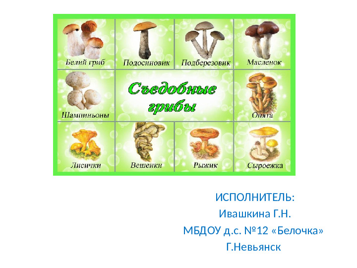 Презентация по экологии "Грибы"