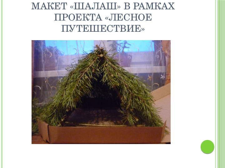 Макетное конструирование из природного материала в рамках проектной деятельности с детьми старшего дошкольного возраста