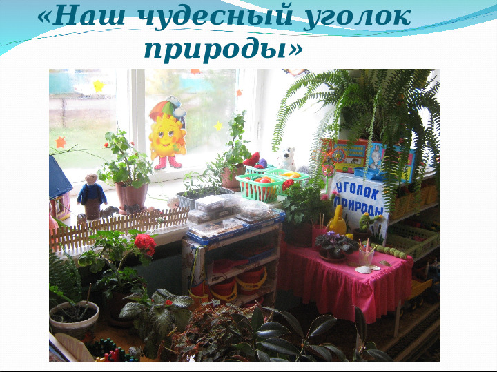 Презентация на конкурс "Лучший уголок природы" в 1 группе раннего возраста