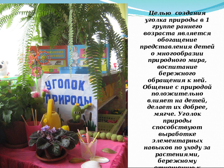 Презентация на конкурс "Лучший уголок природы" в 1 группе раннего возраста