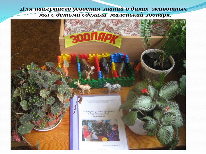 Презентация на конкурс "Лучший уголок природы" в 1 группе раннего возраста
