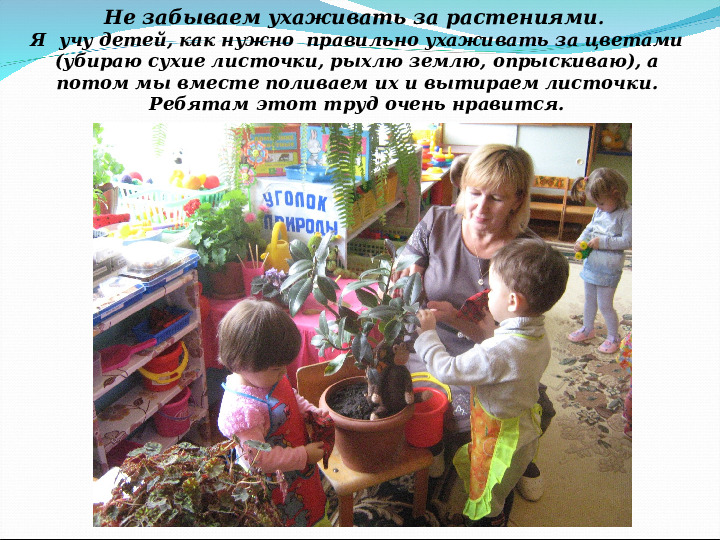 Презентация на конкурс "Лучший уголок природы" в 1 группе раннего возраста