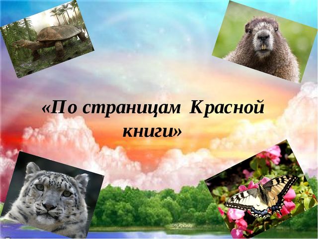 Презентация "По страницам Красной книги" для подготовительной группы детского сада