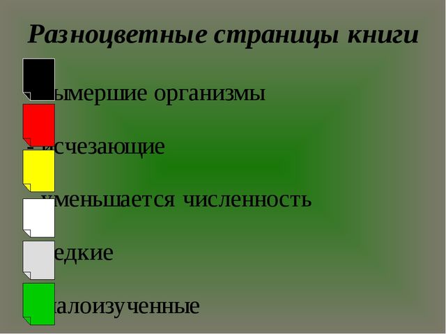 Презентация "По страницам Красной книги" для подготовительной группы детского сада