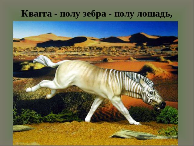 Презентация "По страницам Красной книги" для подготовительной группы детского сада