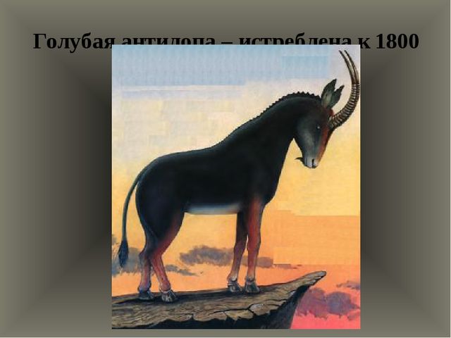 Презентация "По страницам Красной книги" для подготовительной группы детского сада