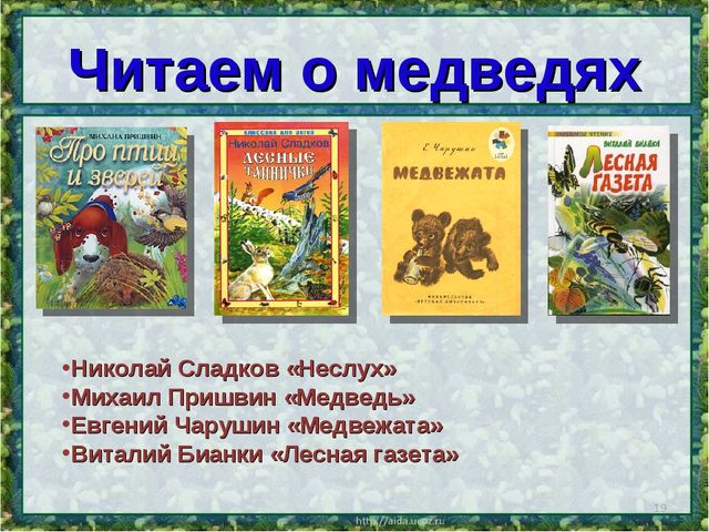 Все о буром медведе
