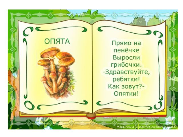 Презентация на тему "Съедобные и несъедобные грибы"