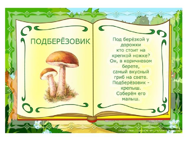 Презентация на тему "Съедобные и несъедобные грибы"
