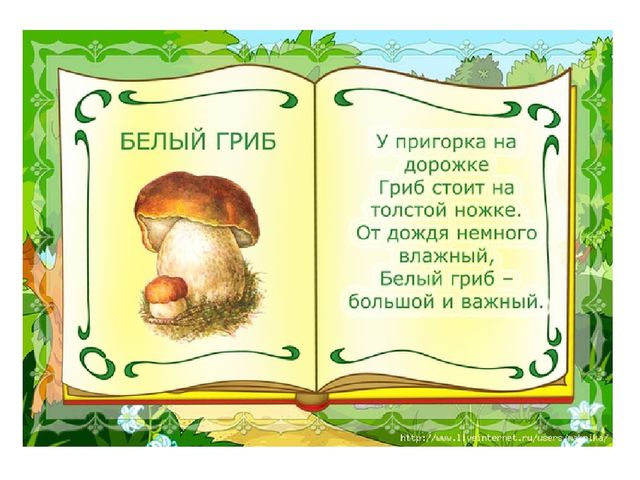 Презентация на тему "Съедобные и несъедобные грибы"