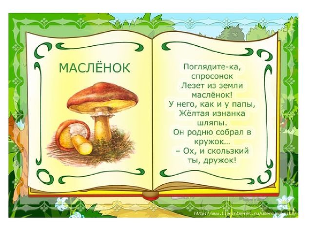 Презентация на тему "Съедобные и несъедобные грибы"