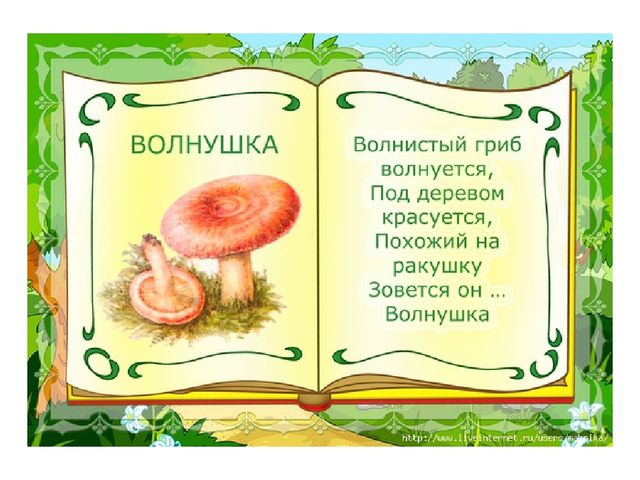 Презентация на тему "Съедобные и несъедобные грибы"