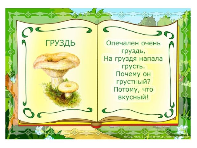 Презентация на тему "Съедобные и несъедобные грибы"